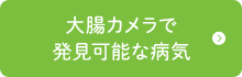 大腸カメラで発見可能な病気