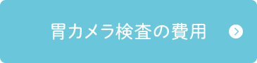 胃カメラ検査の費用