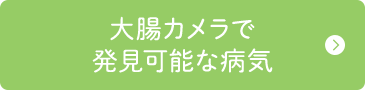 大腸カメラで発見可能な病気